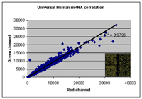 Universal Reference mRNA for Human, Mouse and Rat