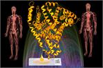 PlasmaScan Antibody Microarrays