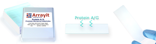 Protein A/G Microarray Slides