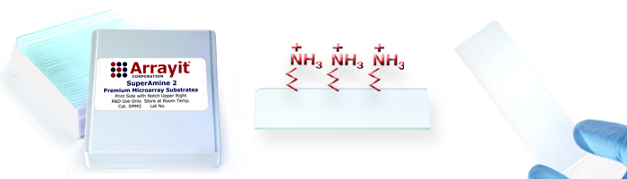 SuperAmine 2 & MirrorAmine 2 Substrates