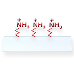 SuperAmine Substrates (Box of 25)